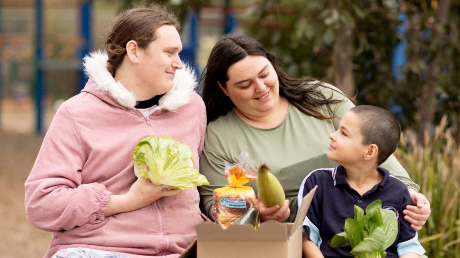 A Weekly Box of Groceries — No Application, Just Support