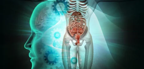 Curiosidades Surpreendentes Sobre O Corpo Humano