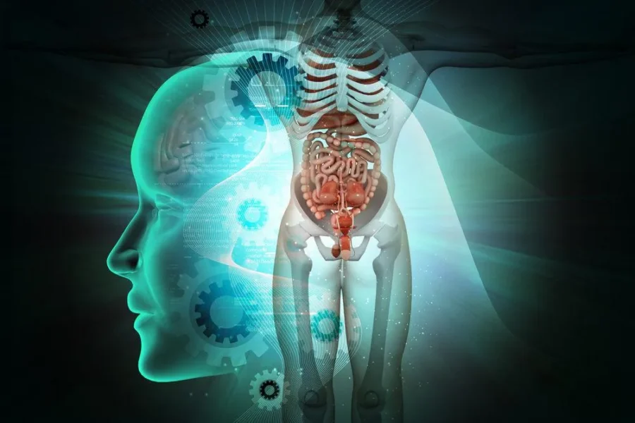 Curiosidades Surpreendentes Sobre O Corpo Humano