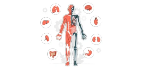 🧠 Fatos Interessantes Que Poucas Pessoas Sabem Sobre o Corpo Humano