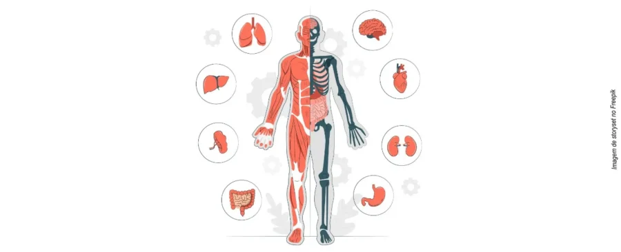 🧠 Fatos Interessantes Que Poucas Pessoas Sabem Sobre o Corpo Humano